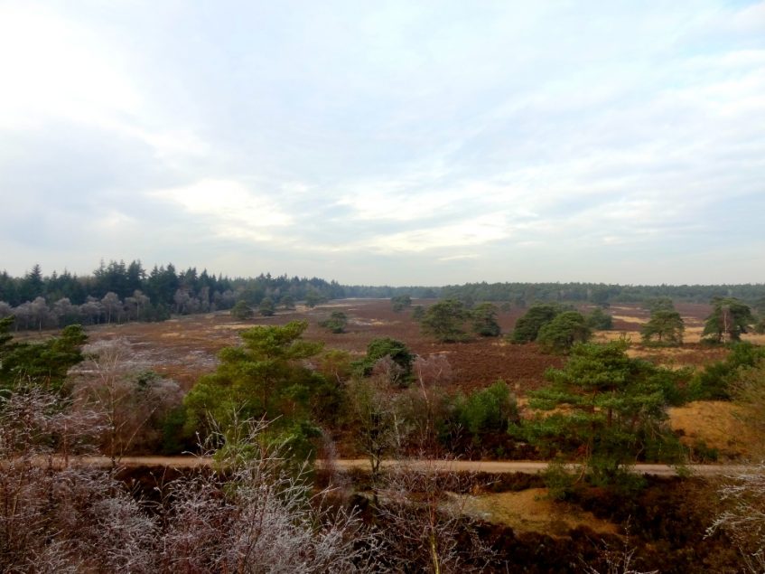 Uitzicht vanaf de uitkijktoren bij de Haelberg