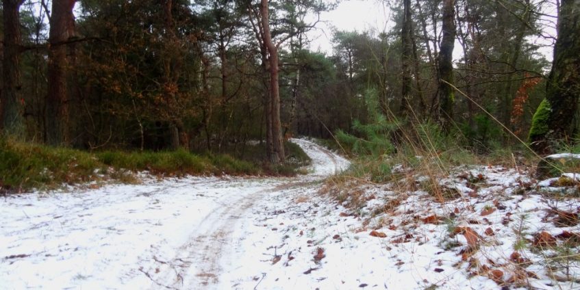 Winter trailrun van Harde naar Wezep