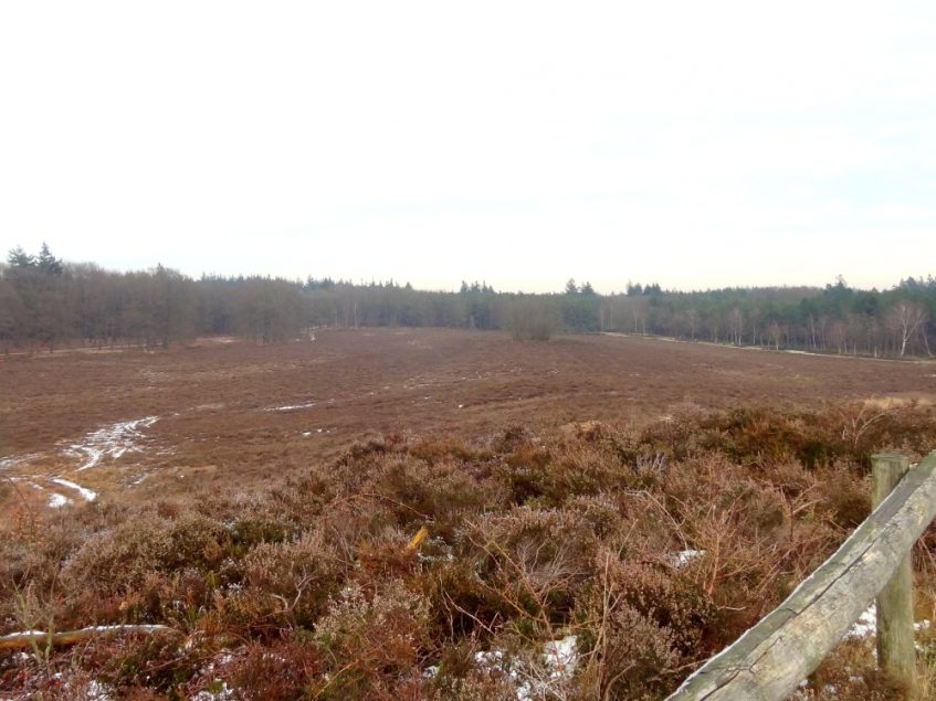 Uitzicht vanaf de Ossenberg bij Heerde