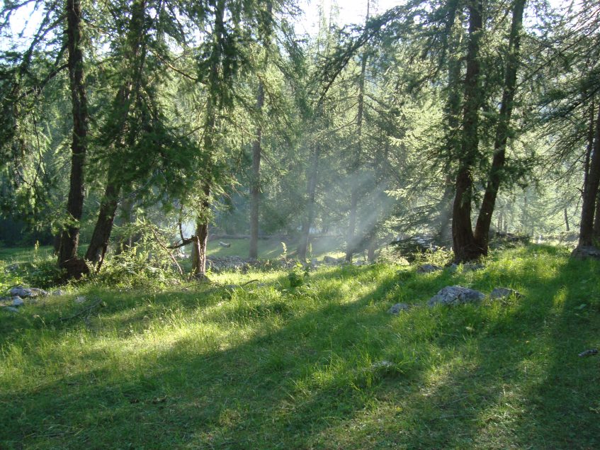 Col d'Anelle