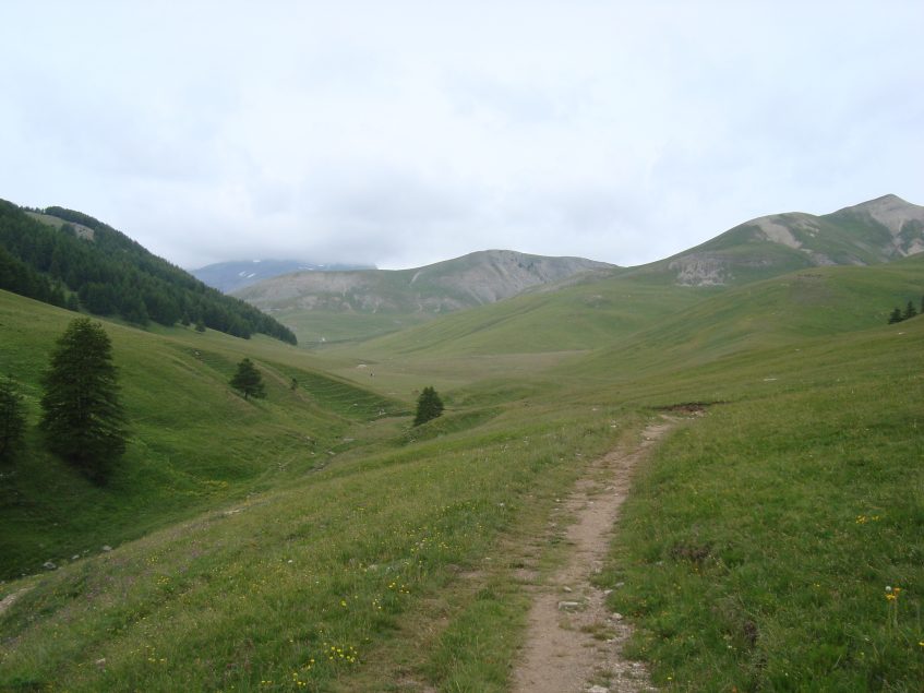 De Vallon de Longon met de Mont Mounier