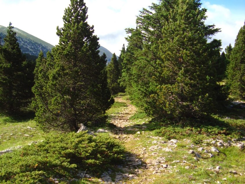 Op de hoogvlakte van de Vercors